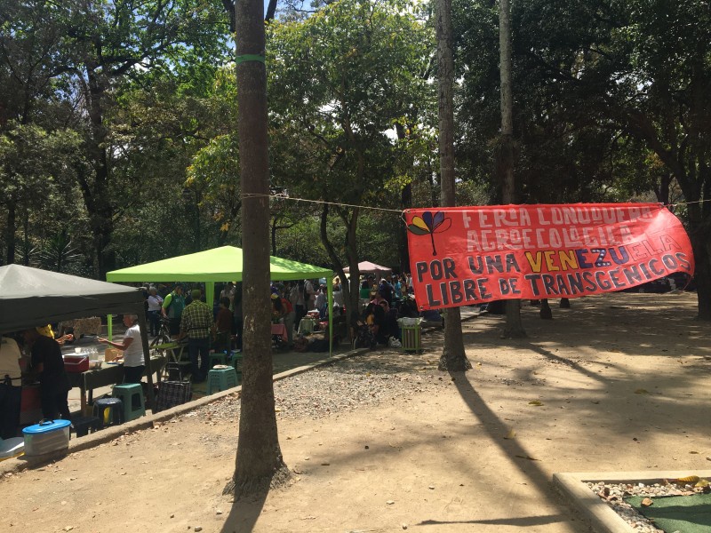 Farmers market in Caracas.