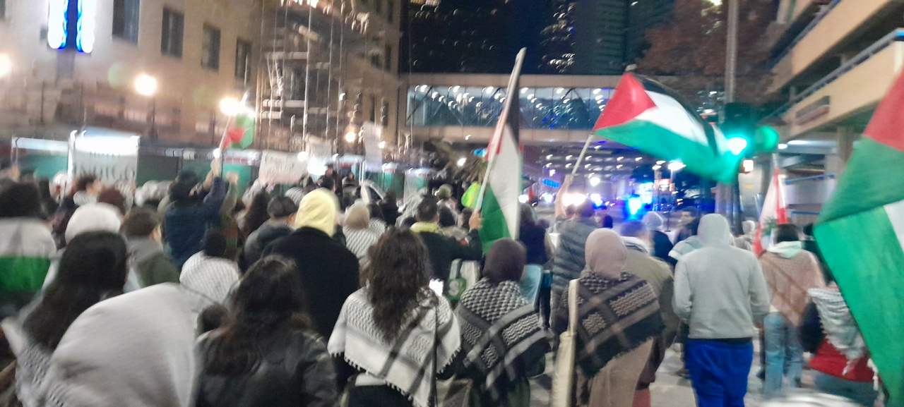 Dallas protest stands with Palestine.